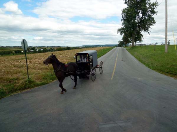 Rencontre avec les Amish  . . .